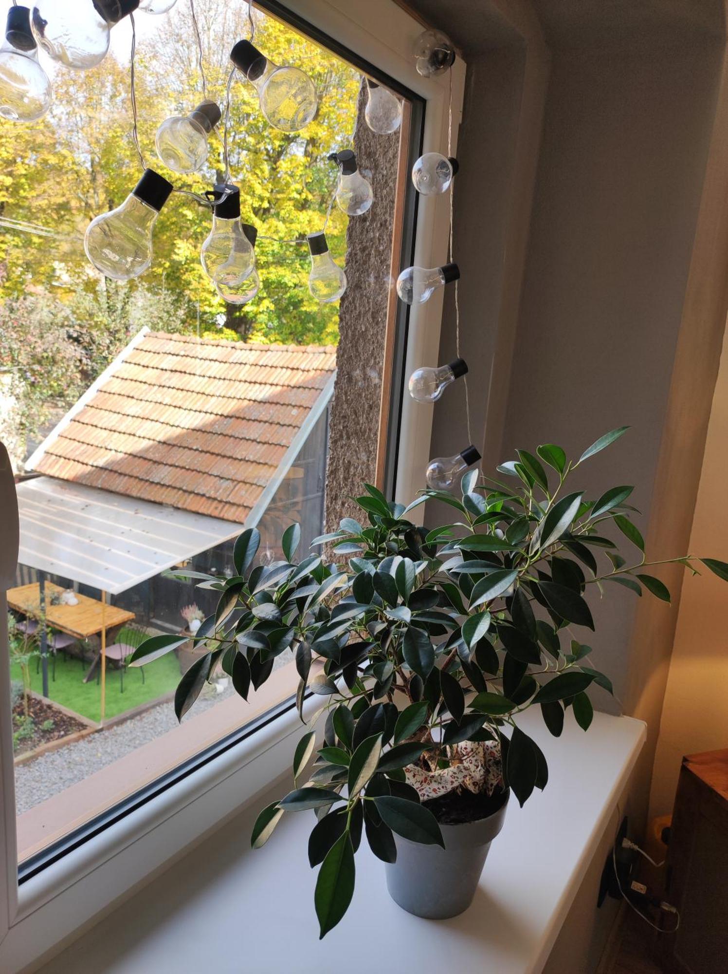 Dian Feelhome Banska Bela Esterno foto